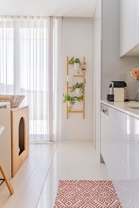 Modulo para colocar liteira ou cama de animais