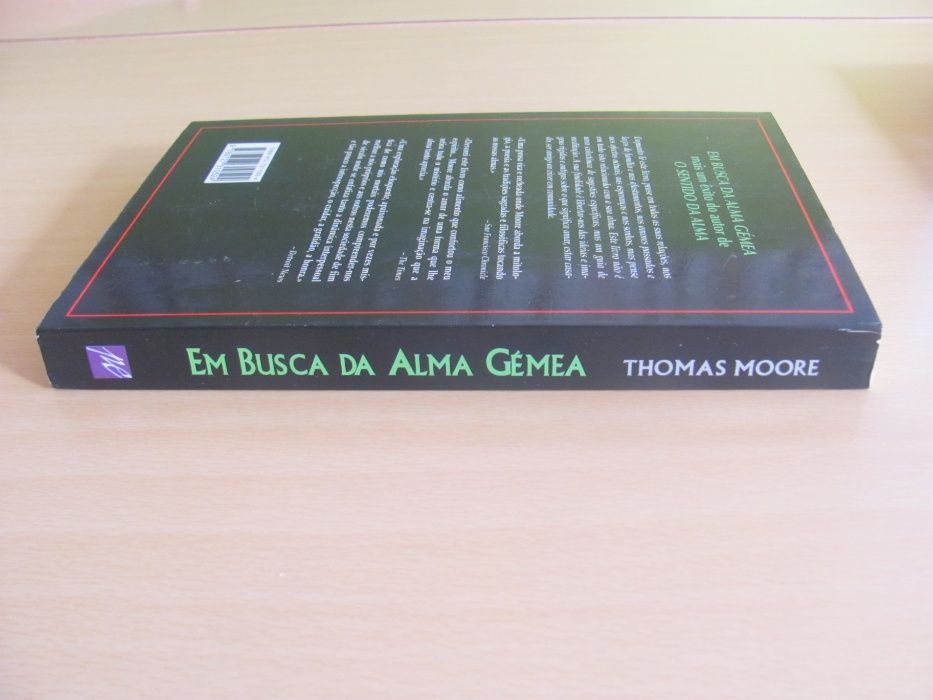 Em Busca da Alma Gémea de Thomas Moore