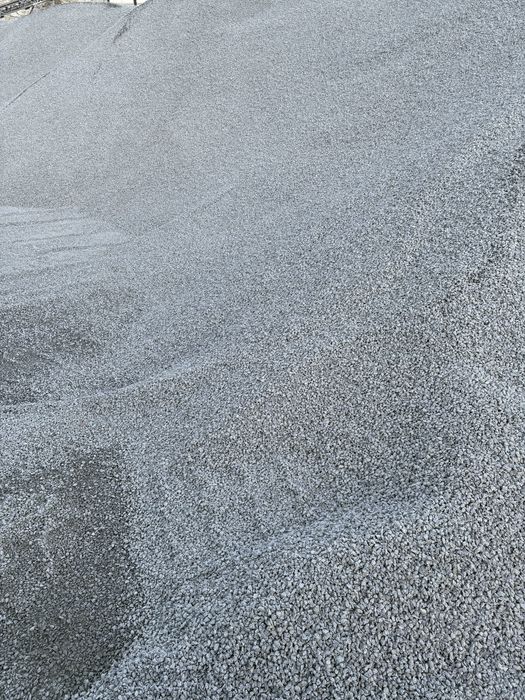 Grys DALMATEŃCZYK 16/22  GRYSY/ TŁUCZEŃ  Dostawa gratis !