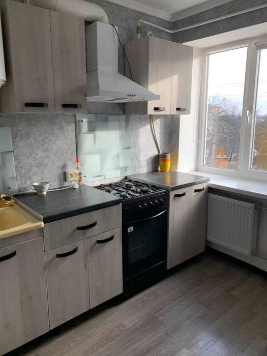 Здаю однокімнатну квартиру   (Центр)