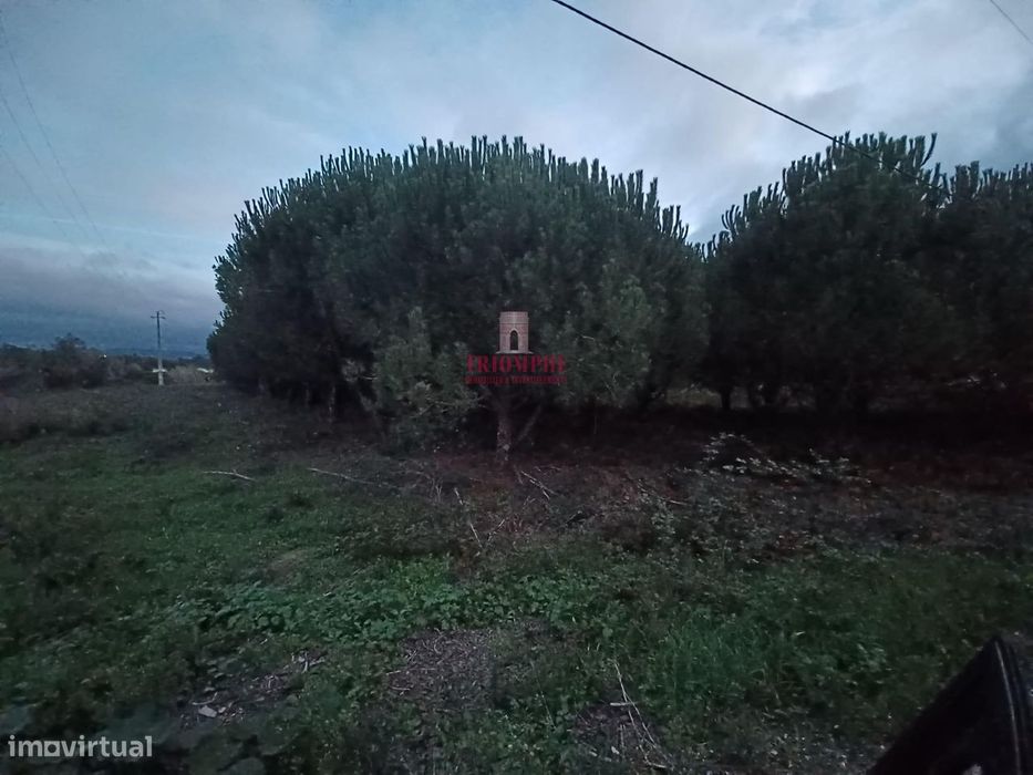 Terreno Urbano 1.430m² Batalha