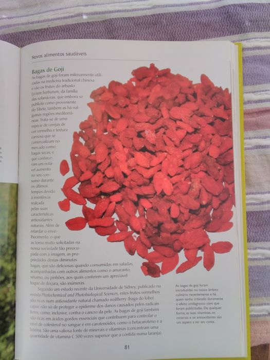 Saúde e Cozinha - Um Livro para quem gosta de comer saudavelmente