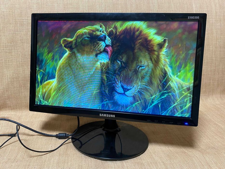 Монитор 19" Samsung S19D300N