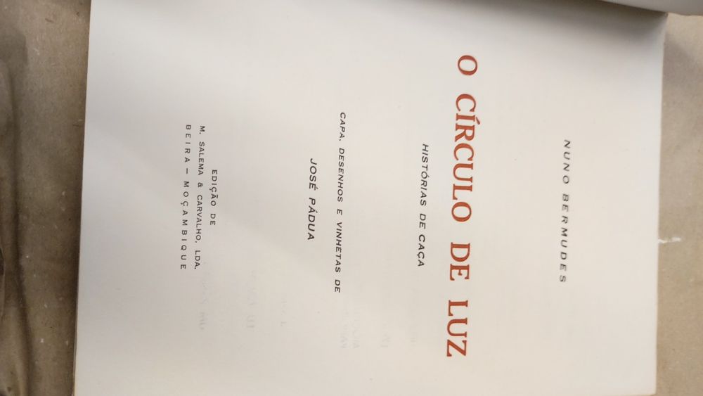 O Círculo de Luz - Histórias de Caça - Nuno Bermudes