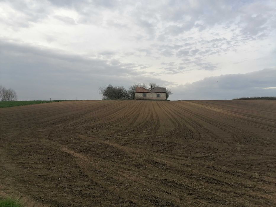 Działka, siedlisko z domem, pole 0,5ha