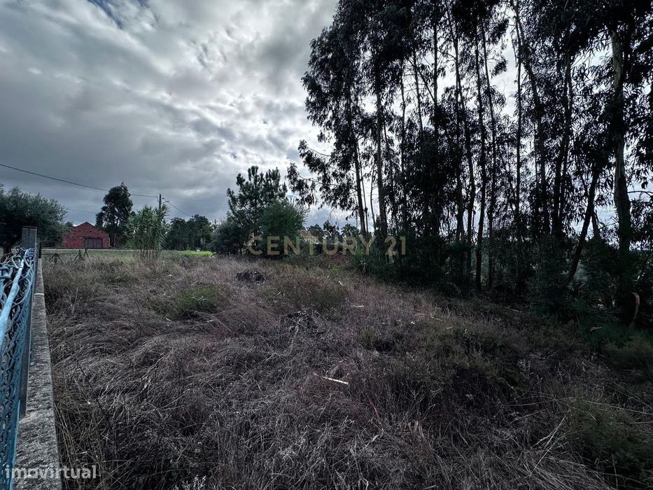 Terreno com viabilidade de construção | 895 m² | Fontanheiras de Cima,