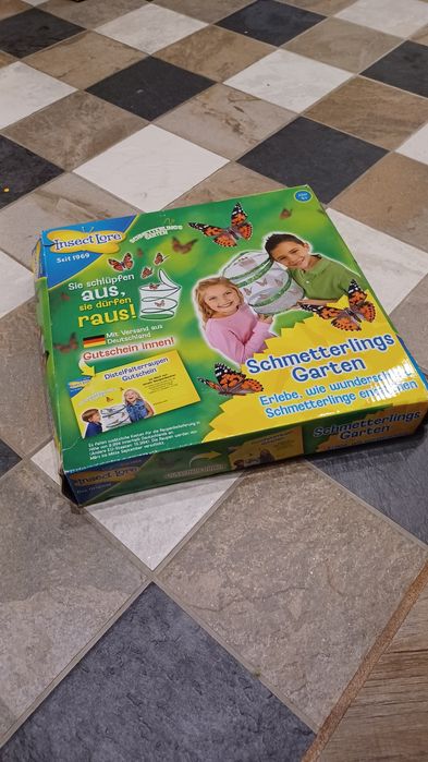 Wylęgarnia - Ogród motyli w domu - siatka na motyle  i insekty