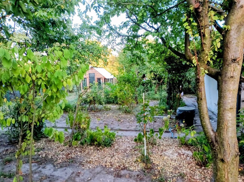 Wyjątkowa działka 635 m² – ROD „Nowy Start” | murowana altana, szklarnia, pergola, prąd, woda.
