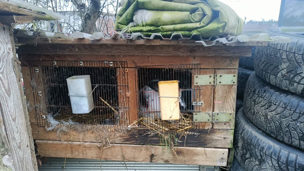 Sprzedam klatkę dla królików