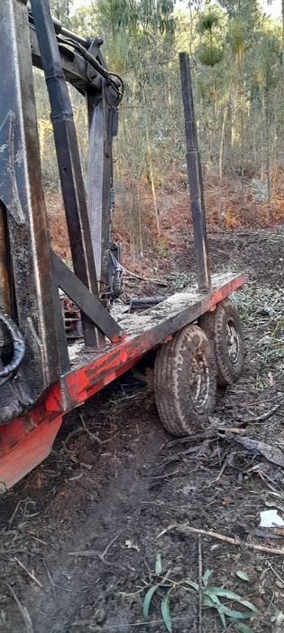 Reboque e grua  florestal