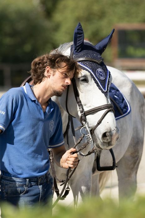 Cavalo de obstaculos BWP