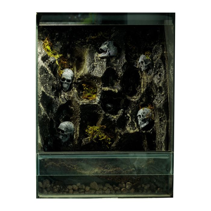 Terrarium tropikalne 40x40x60