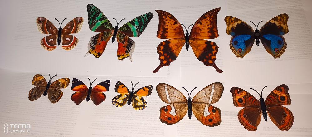 Метелелыки для холодильника липучки