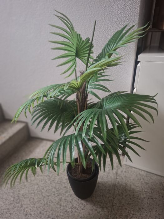 Planta artificial  verde area