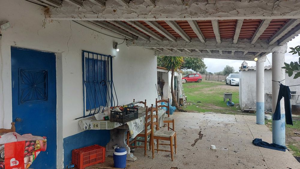 Rústico c/ Habitação e dependências - Alcôrrego | AVIS