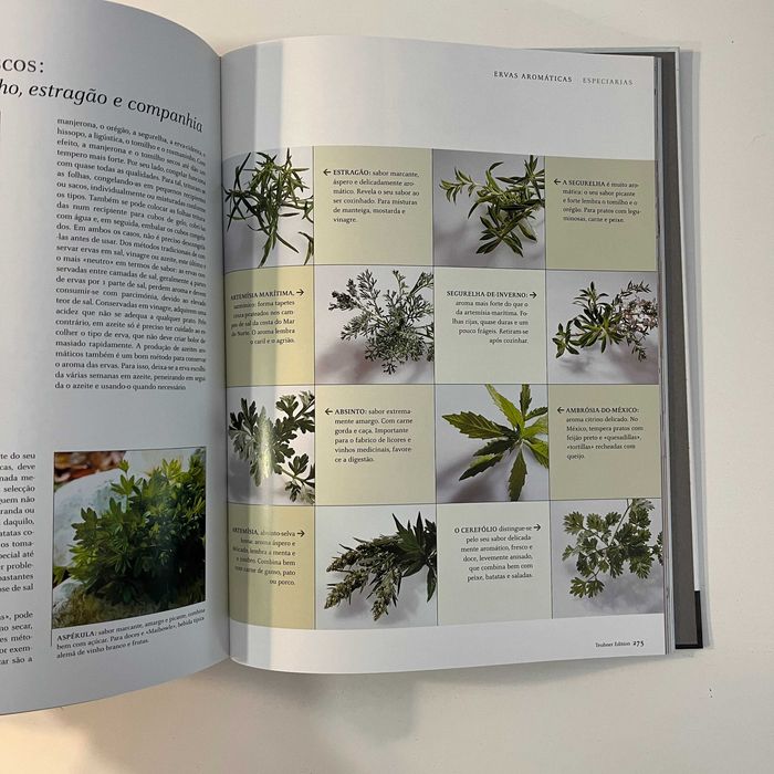 Livro Fruta e Legumes - Teubner