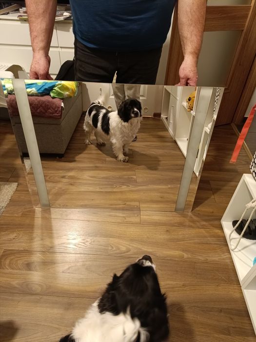 Lustro łazienkowe z oświetleniem LED