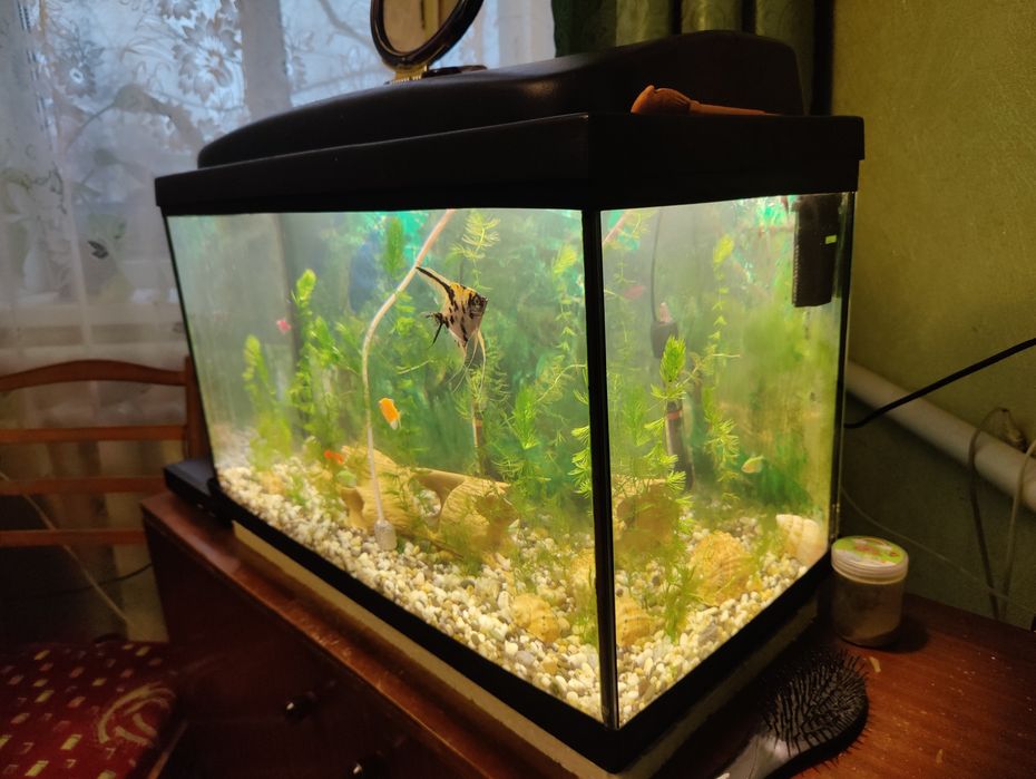 Обміняю акваріум на меньший
