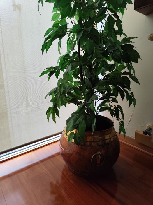 Pote em latão de cobre