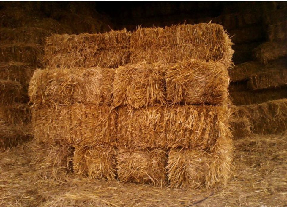 Продам тюкі соломи