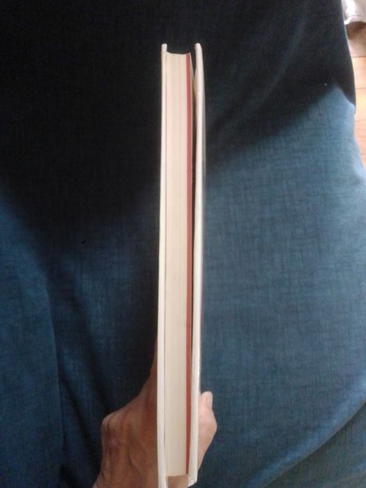 Livro de Benfica  Rui Guedes"Fotobiografia por Rui Guedes"