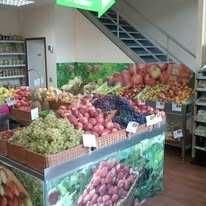 TRESPASSE – Frutaria Vale das Flores - Coimbra - Urgente