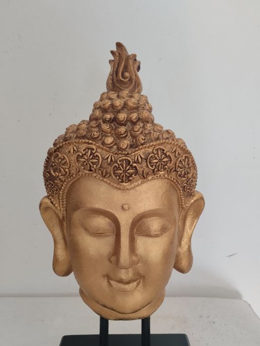 Cara de buda novo