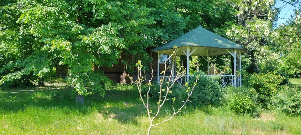 Продаж Бази відпочинку, 4.6 Га з берегом 145 м біля м. Дніпро