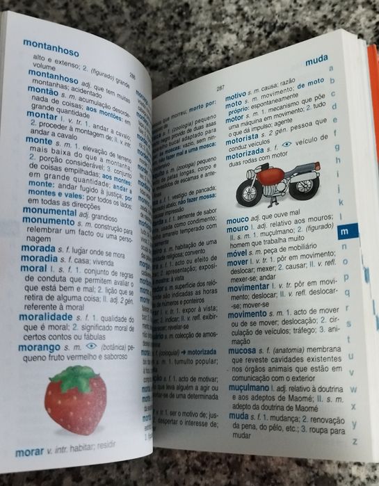 Dicionário Básico Português
