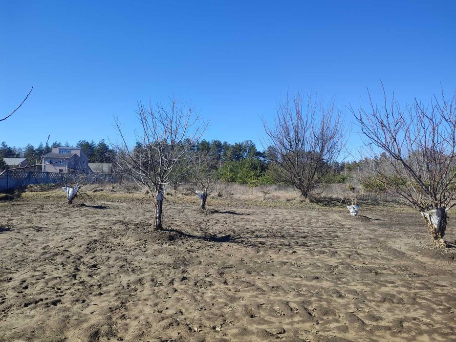 Продаж земельної ділянки під забудову, с. Терентіївка, 15 соток!