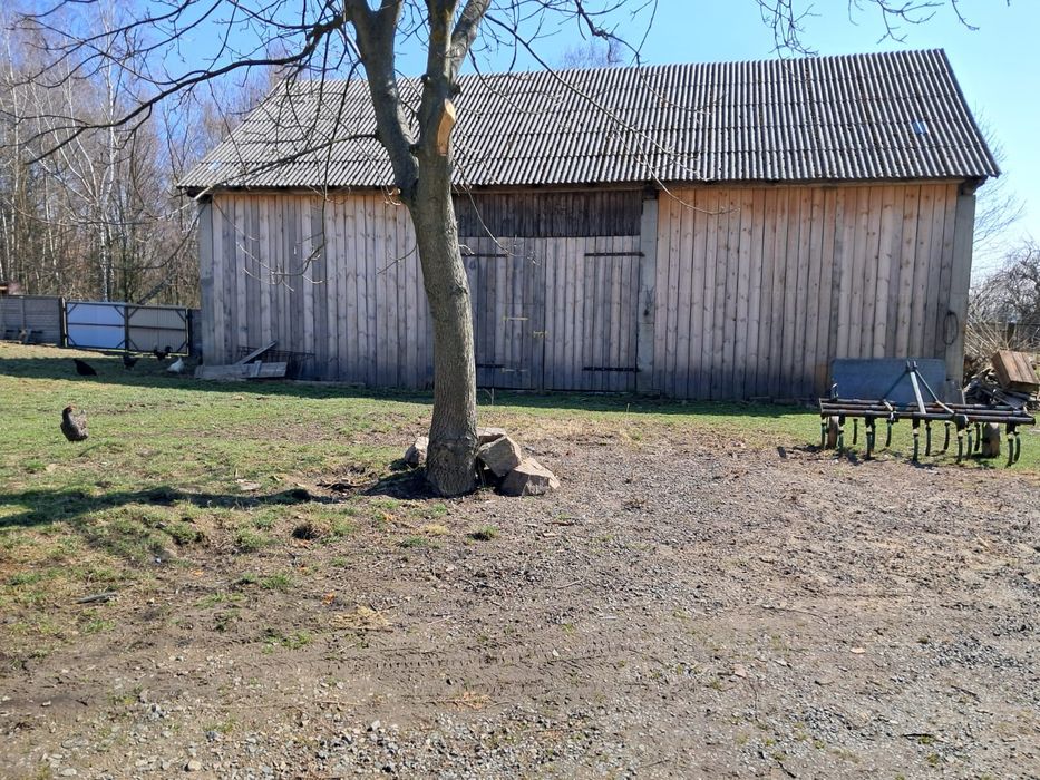 Sprzedam gospodarstwo rolne z budynkami