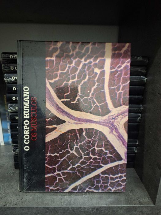 Coleção Livros "O Corpo Humano"