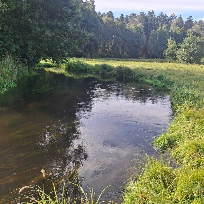Działka na sprzedaż nad rzeką Chociną - potencjał inwestycyjny