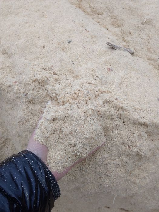 Продам опилки,сосна.