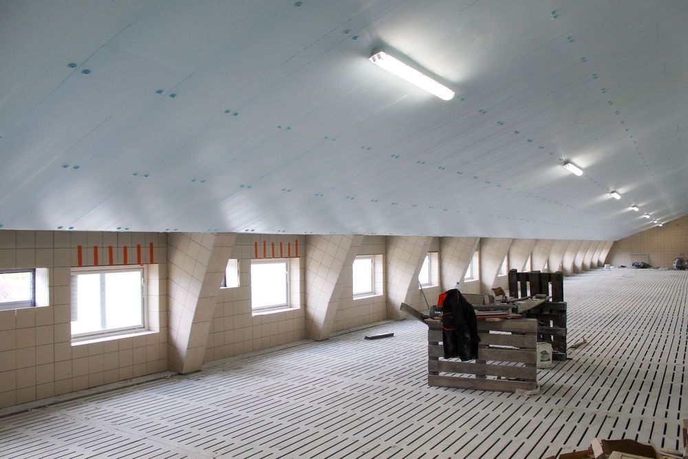 Izolacja Ocieplenie Podsufitka Podbitka Tuczarni Styrodur XPS AGRO