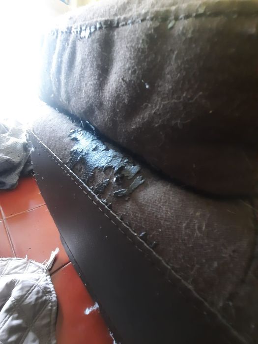 Sofá castanho usado para dar. APENAS UM