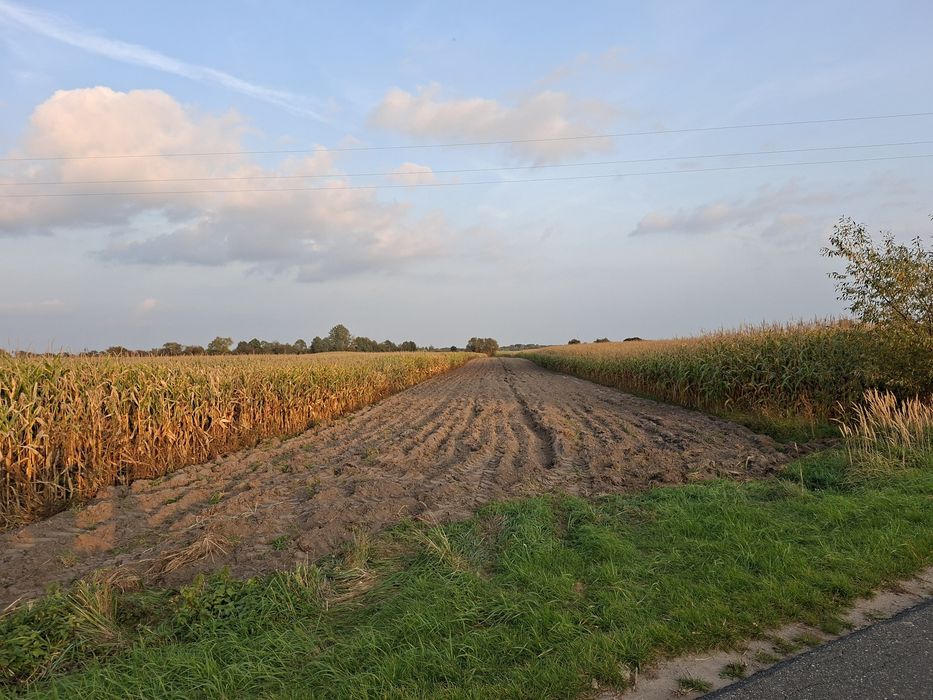 Nieruchomość rolna wraz z łąką Brudzew, Krwony
