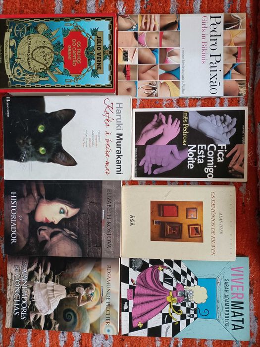 16 Livros Pilcher, Kostova, Paixão, J. Verne, Outros, CADA