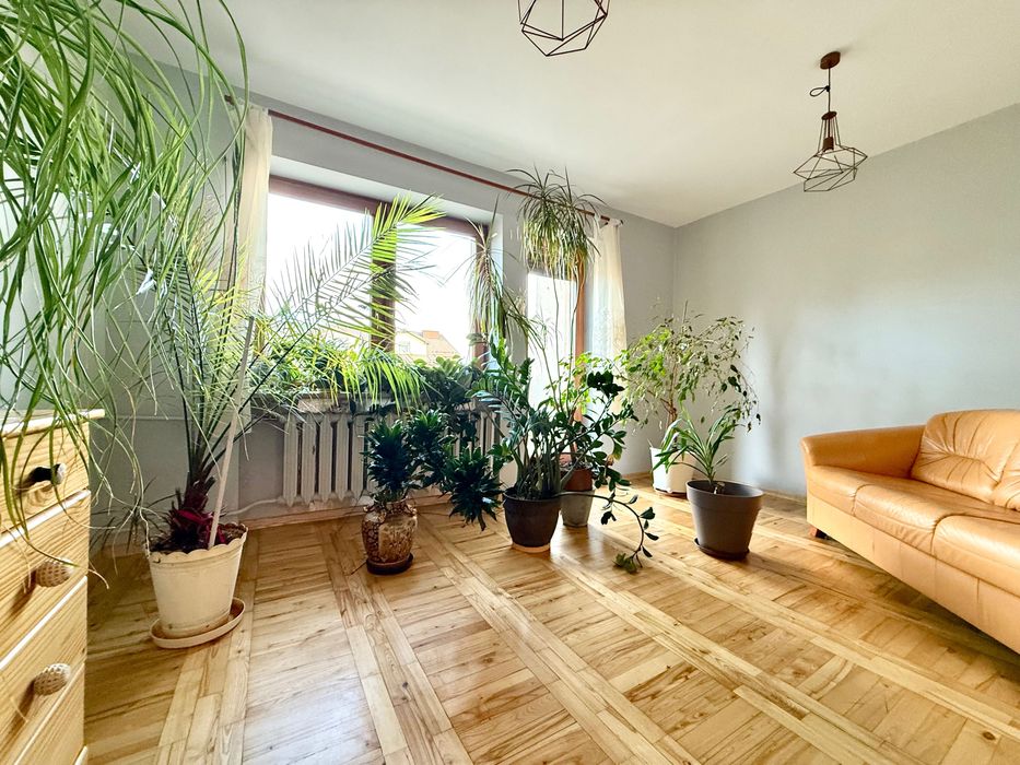 Zdjęcie 5