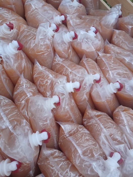 Sok tłoczony 100% owoce i warzywa