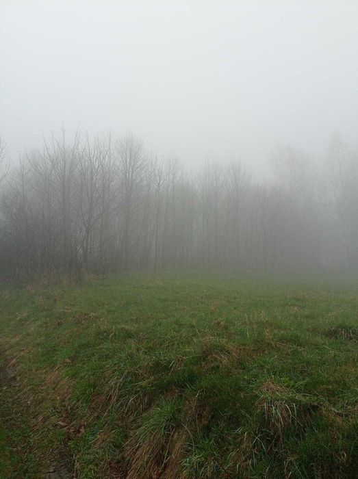 Sprzedam wyjątkową działkę budowlaną z widokiem na Babią Górę – Makowska Góra, Maków Podhalański - Widok 2