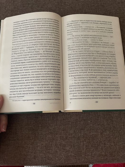 Флобер «Госпожа Бовари»