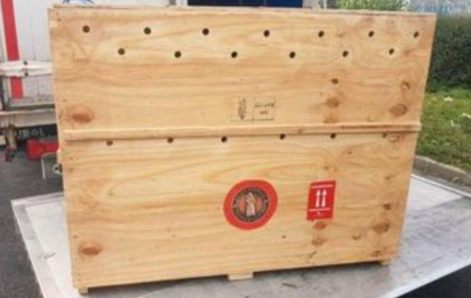 Transportadora de animais certificada.  Artigo novo. Preço nas fotos