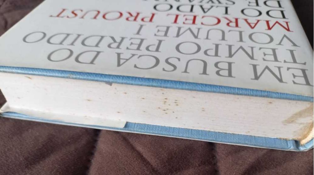 Do Lado de Swann - Marcel Proust (Em Busca do Tempo Perdido Volume 1 )