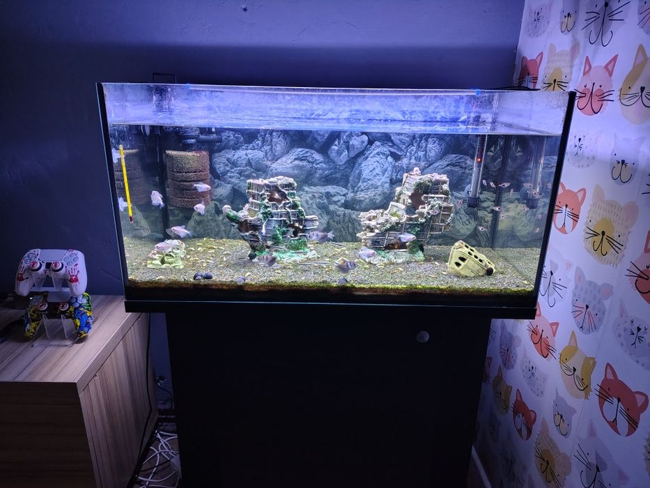 Akwarium 120 litrów