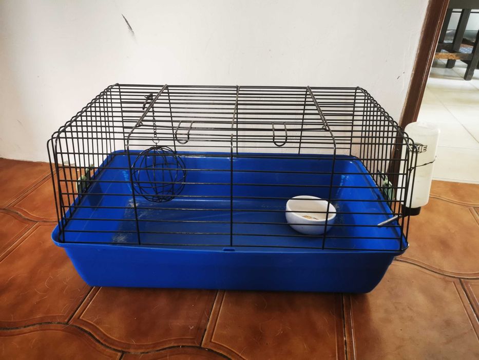 Gaiola para roedores