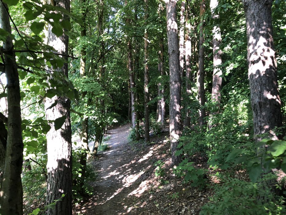 Будинок автономний продаю в с. Грушківка ( Холодный яр)