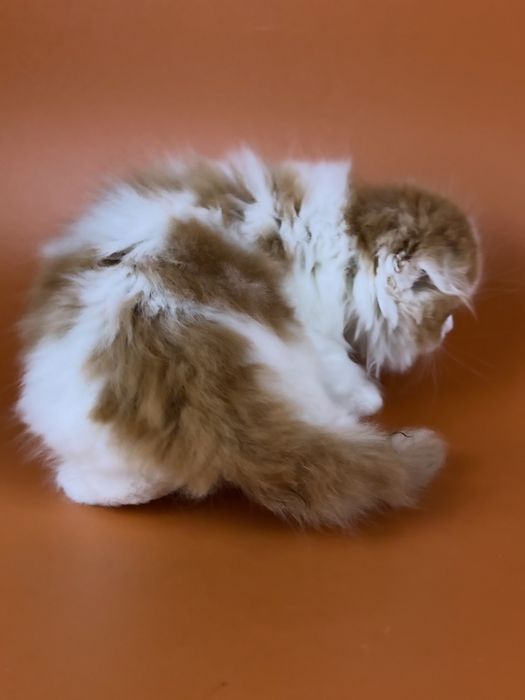 Чудовий хлопчик.