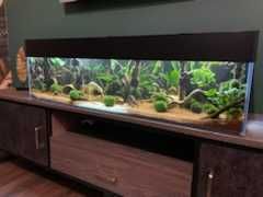 Akwarium proste 80x40x50 - 160 litrów z pokrywą