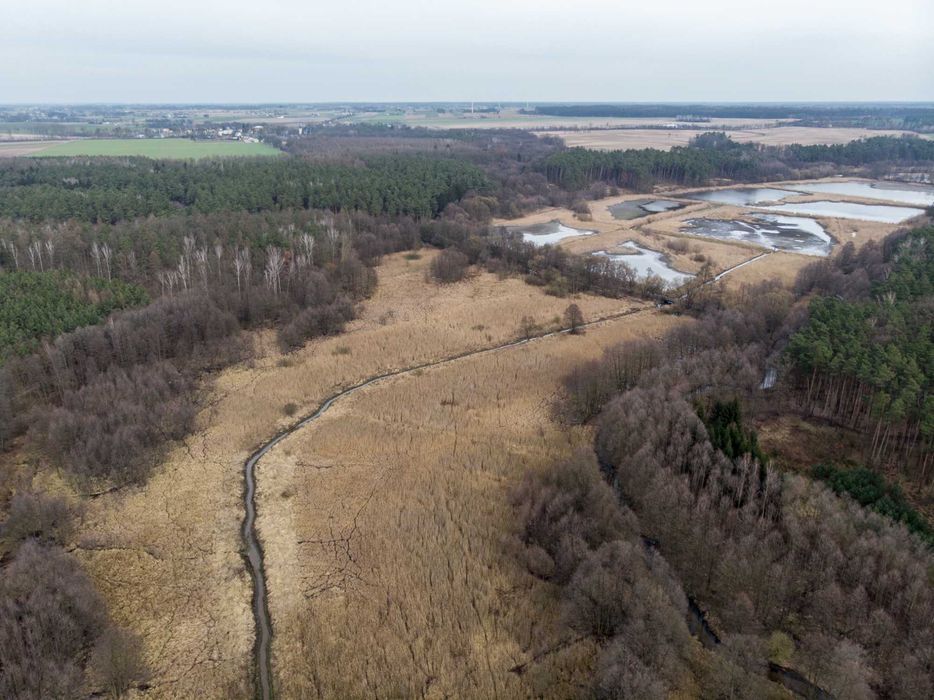 Siedlisko stare stawy 11,5 h - Widok 4